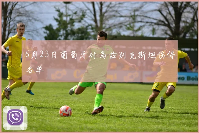6月23日葡萄牙对乌兹别克斯坦伤停名单