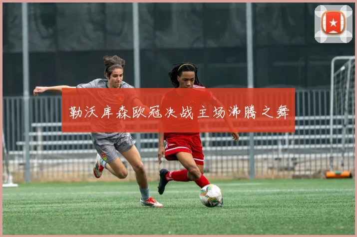 勒沃库森欧冠决战主场沸腾之舞