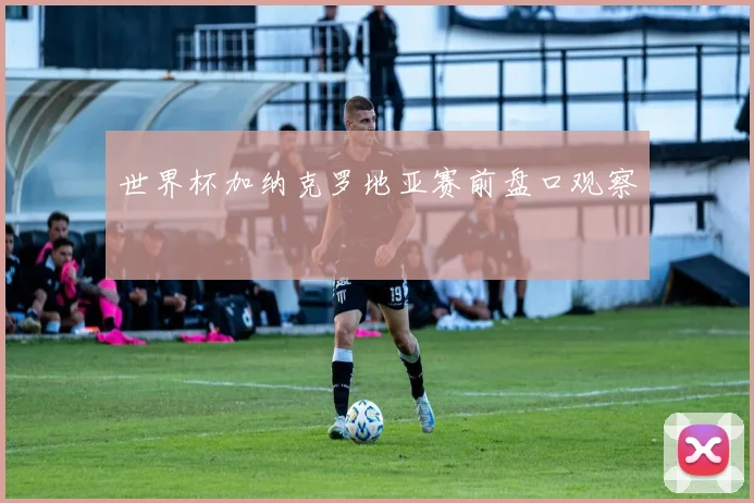 世界杯加纳克罗地亚赛前盘口观察