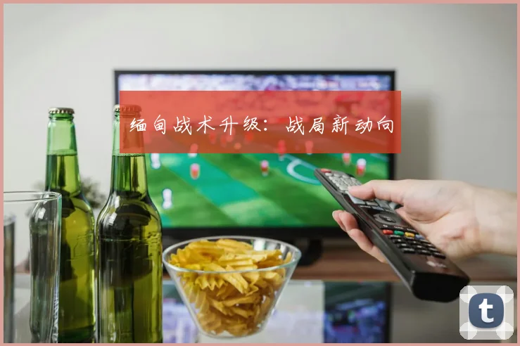 缅甸战术升级：战局新动向