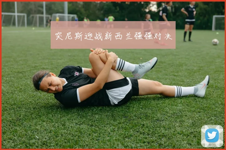 突尼斯迎战新西兰强强对决
