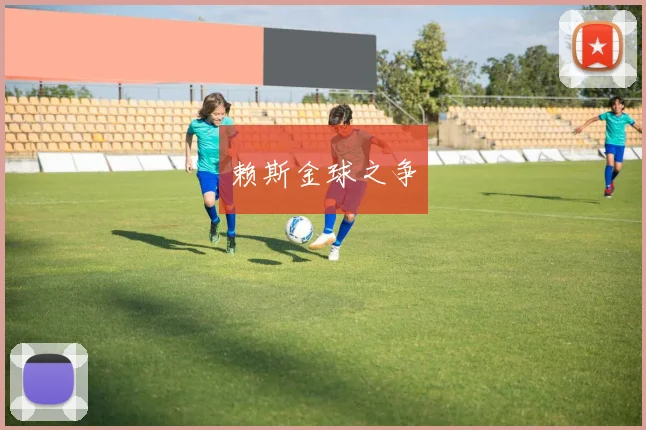 赖斯金球之争