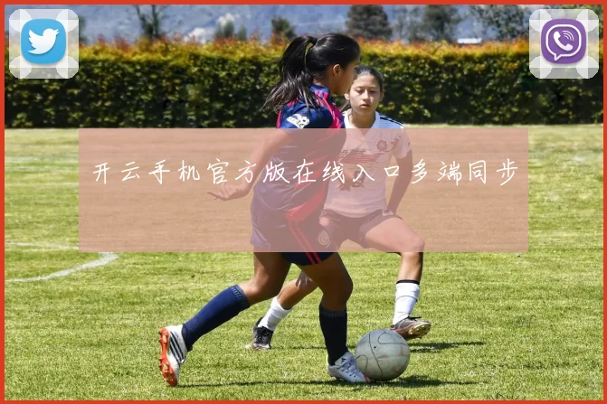 开云手机官方版在线入口多端同步