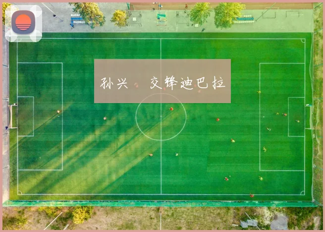 孙兴慜交锋迪巴拉
