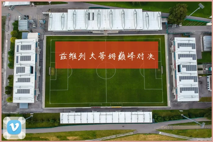 兹维列夫蒂姆巅峰对决