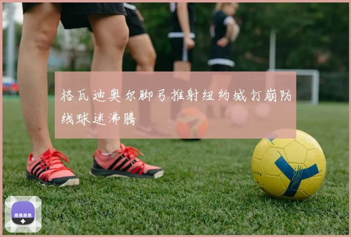 格瓦迪奥尔脚弓推射纽约城打崩防线球迷沸腾