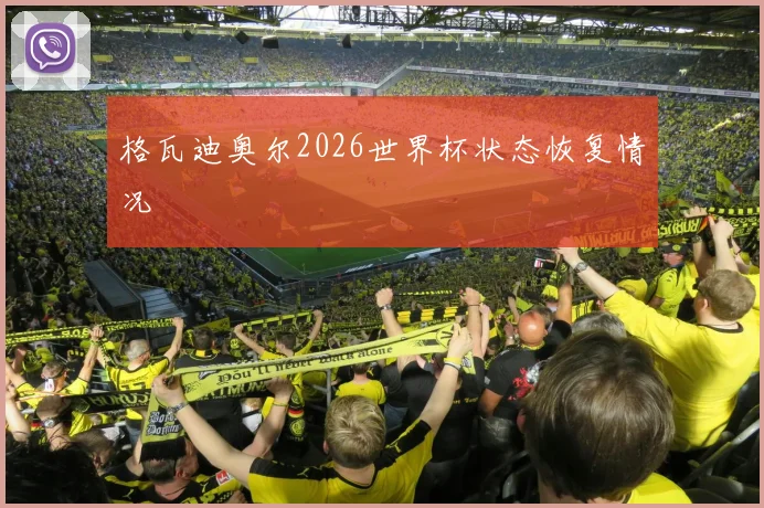 格瓦迪奥尔2026世界杯状态恢复情况