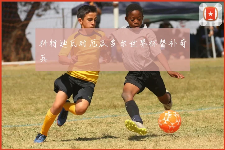 科特迪瓦对厄瓜多尔世界杯替补奇兵