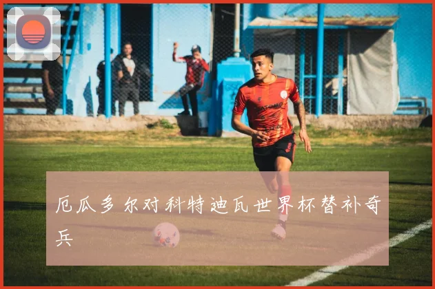 厄瓜多尔对科特迪瓦世界杯替补奇兵