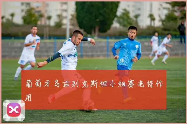 葡萄牙乌兹别克斯坦小组赛老将作用