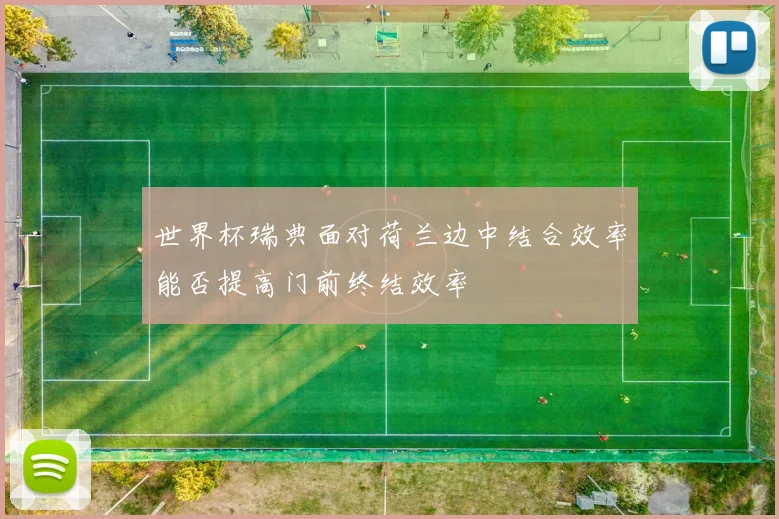世界杯瑞典面对荷兰边中结合效率能否提高门前终结效率