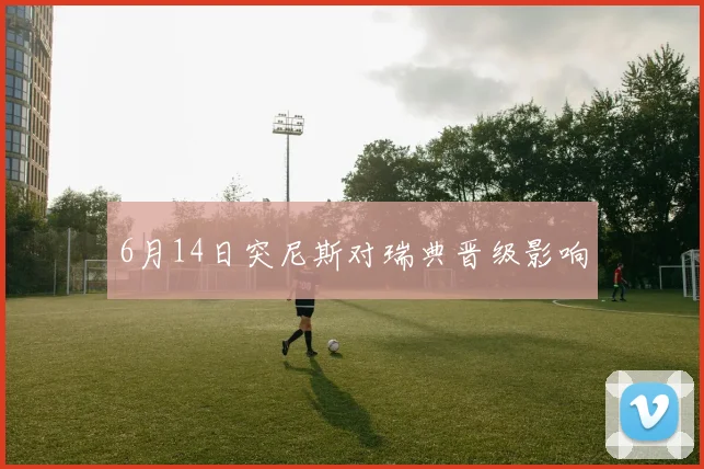 6月14日突尼斯对瑞典晋级影响