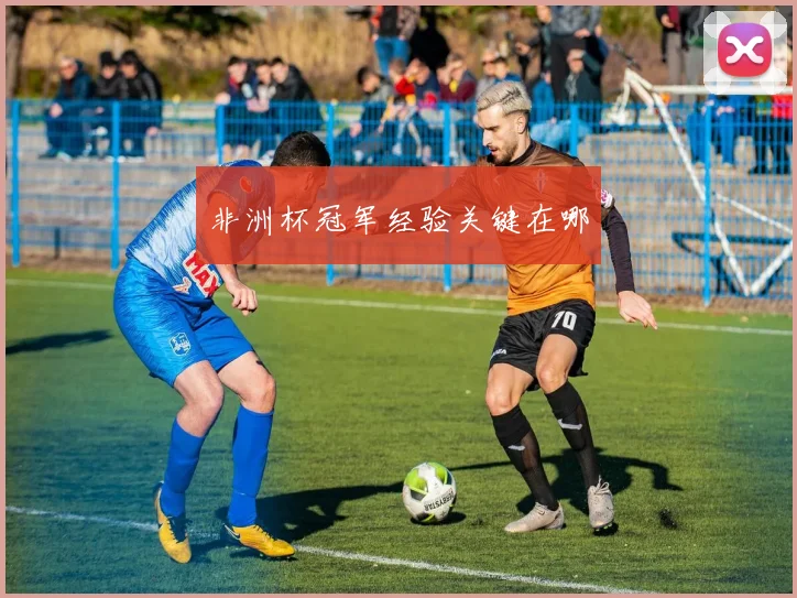 非洲杯冠军经验关键在哪