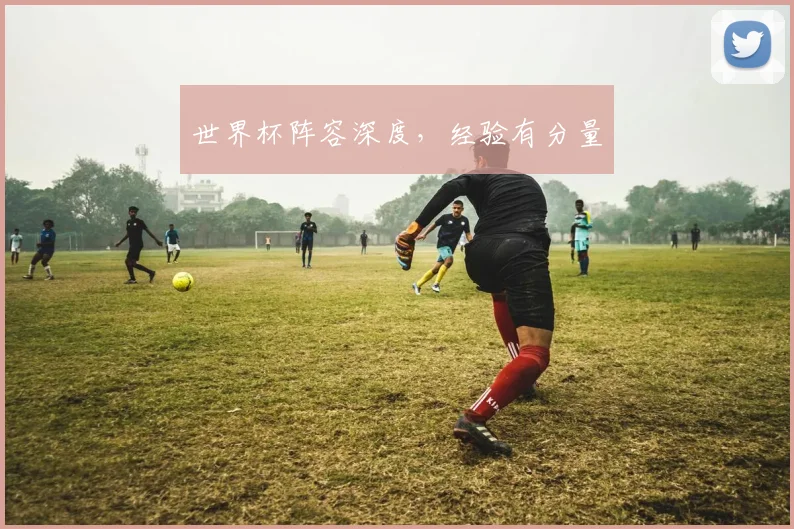 世界杯阵容深度，经验有分量